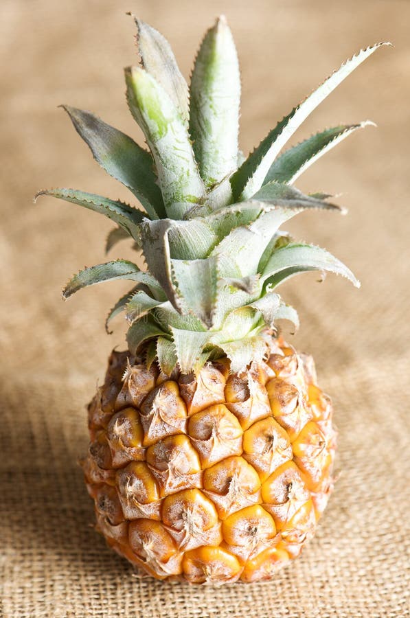 Frische Ananas Auf Leinwand Stockfoto - Bild von tropen, frische: 19310366