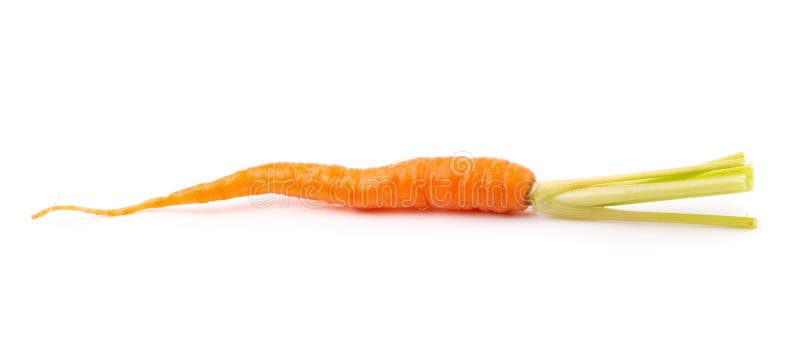Frische Babykarotten lokalisiert auf einem weißen Hintergrund lizenzfreies stockbild Frische Babykarotten lokalisiert auf einem weißen Hintergrund lizenzfreies stockbild