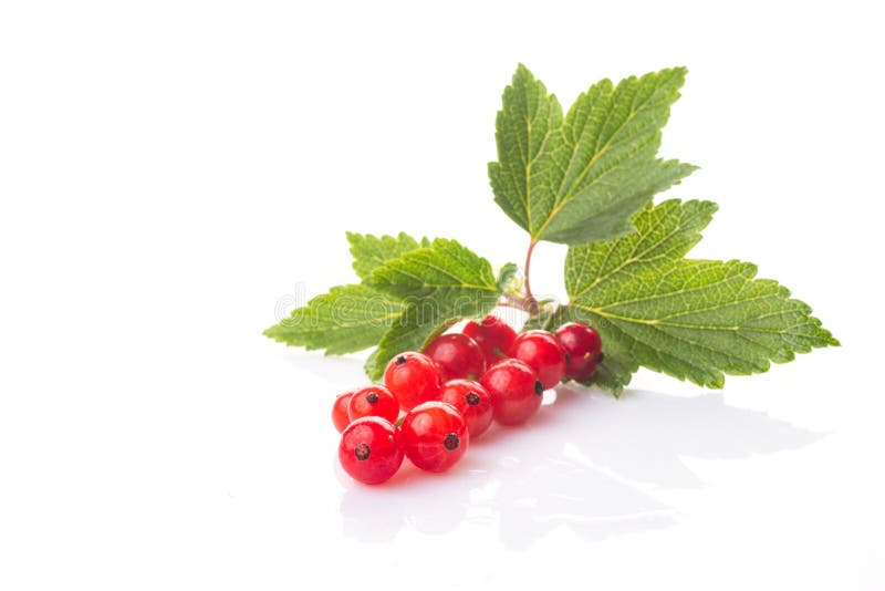 Frische Beeren der roten Johannisbeere mit den grünen Blättern lokalisiert auf weißem Hintergrund stockfotos Frische Beeren der roten Johannisbeere mit den grünen Blättern lokalisiert auf weißem Hintergrund stockfotos
