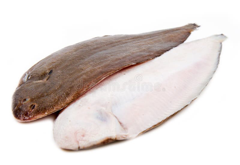 Frische einzige Fische der ganzen Paare auf weißem Hintergrund lizenzfreies stockfoto Frische einzige Fische der ganzen Paare auf weißem Hintergrund lizenzfreies stockfoto