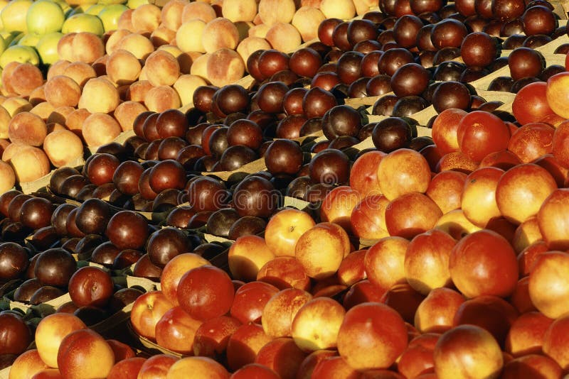 frische Früchte stockfotografie frische Früchte stockfotografie