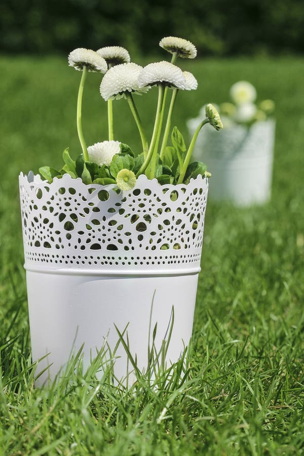 Frische Frühlingsdekorationen stockfoto Frische Frühlingsdekorationen stockfoto