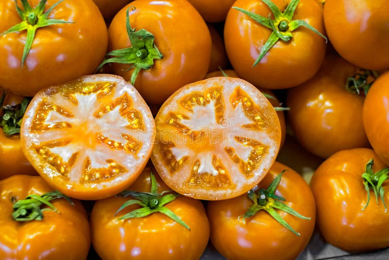 Frische gelbe Tomaten am Markt lizenzfreie stockfotografie Frische gelbe Tomaten am Markt lizenzfreie stockfotografie
