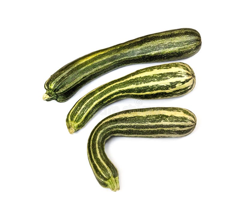 Frische gestreifte Zucchini lokalisiert auf weißem Hintergrund lizenzfreie stockfotos Frische gestreifte Zucchini lokalisiert auf weißem Hintergrund lizenzfreie stockfotos