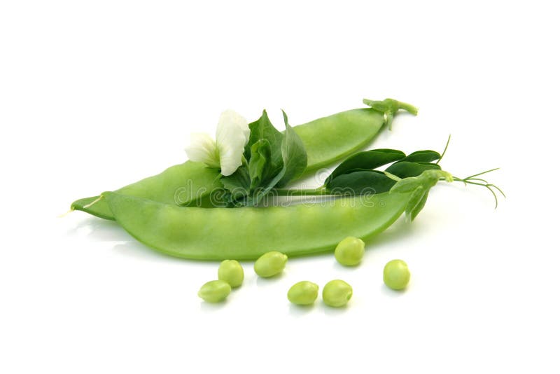 Frische grüne Erbsen mit einer Blume stockfoto Frische grüne Erbsen mit einer Blume stockfoto