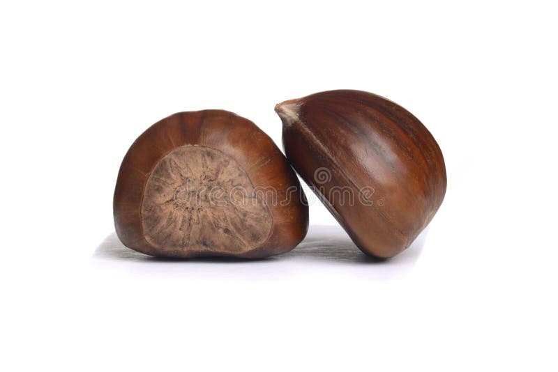 Frische Kastanien der Nahaufnahme zwei stockbild Frische Kastanien der Nahaufnahme zwei stockbild