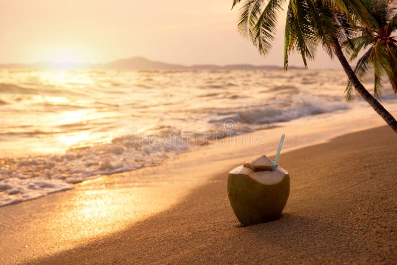 Frische Kokosnusscocktails auf sandigem tropischem Strand zur Sonnenuntergangzeit stockfoto Frische Kokosnusscocktails auf sandigem tropischem Strand zur Sonnenuntergangzeit stockfoto
