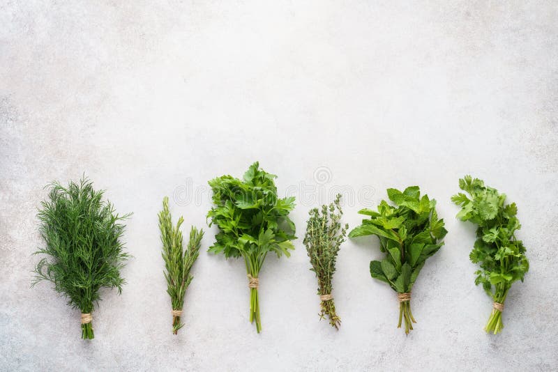 Frische Kräuter auf grauem Hintergrund Verschiedene Bestandteile f?r das Kochen lizenzfreie stockfotografie Frische Kräuter auf grauem Hintergrund Verschiedene Bestandteile f?r das Kochen lizenzfreie stockfotografie