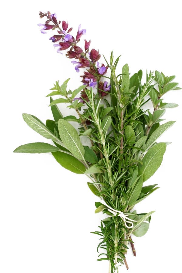 Frische Kräuter - Rosemary, Salbei, Oregano stockbilder Frische Kräuter - Rosemary, Salbei, Oregano stockbilder
