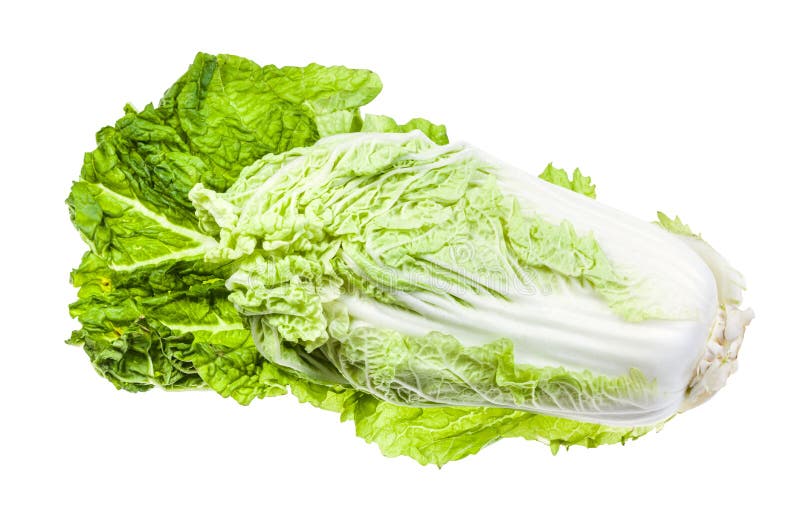 frische Napa-Kohl auf grünem Blatt in Weiß lizenzfreies stockbild frische Napa-Kohl auf grünem Blatt in Weiß lizenzfreies stockbild