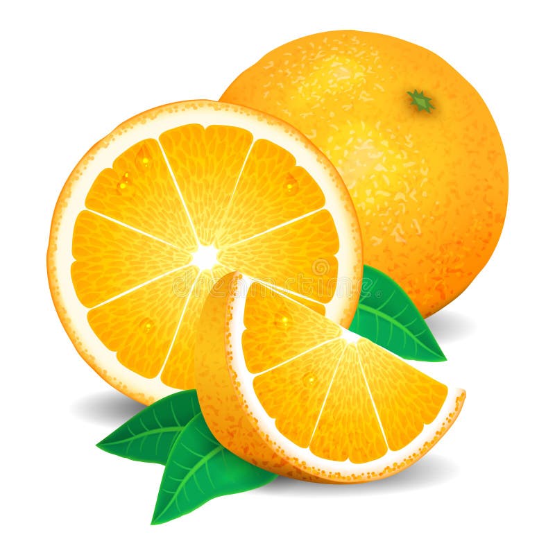 Frische Orangen Frucht, Stücke der Orange Realistische Orangen, Vektor