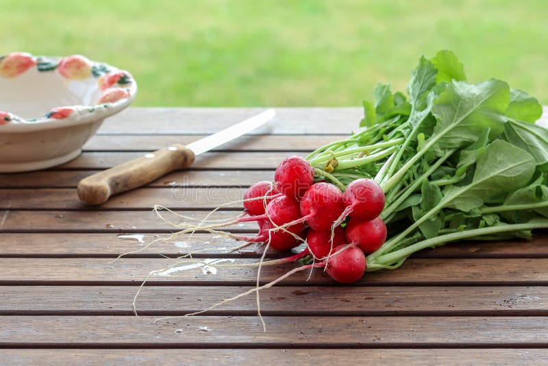 Frische organische Rettiche bereit, für Salat auf einem Holztisch geschnitten zu werden lizenzfreie stockfotografie Frische organische Rettiche bereit, für Salat auf einem Holztisch geschnitten zu werden lizenzfreie stockfotografie