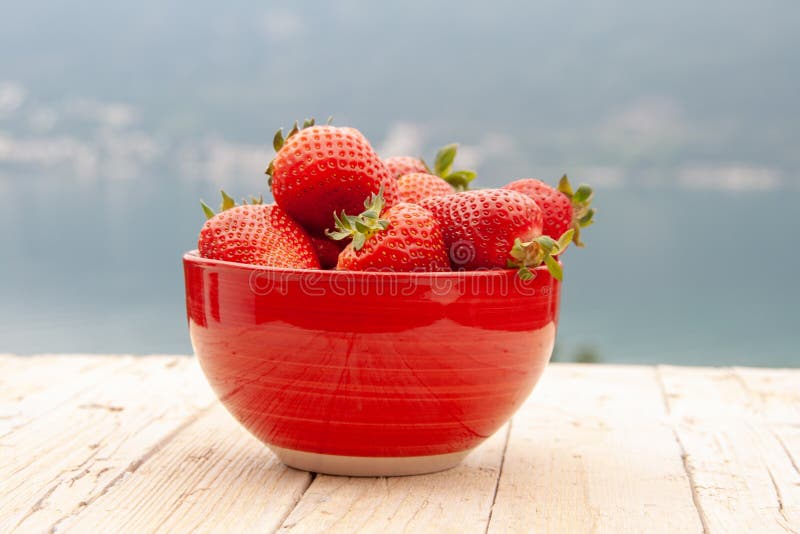 Frische reife Erdbeeren in einer einfachen wei?en Sch?ssel lizenzfreie stockfotografie Frische reife Erdbeeren in einer einfachen wei?en Sch?ssel lizenzfreie stockfotografie