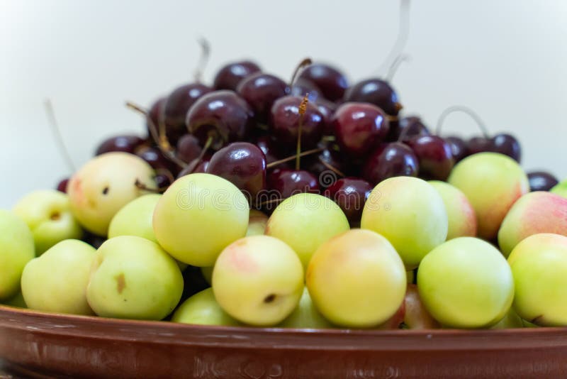 frische reife Kirschen und Aprikosennahaufnahme als Hintergrund Sch?ner Fruchthintergrund lizenzfreie stockfotografie frische reife Kirschen und Aprikosennahaufnahme als Hintergrund Sch?ner Fruchthintergrund lizenzfreie stockfotografie