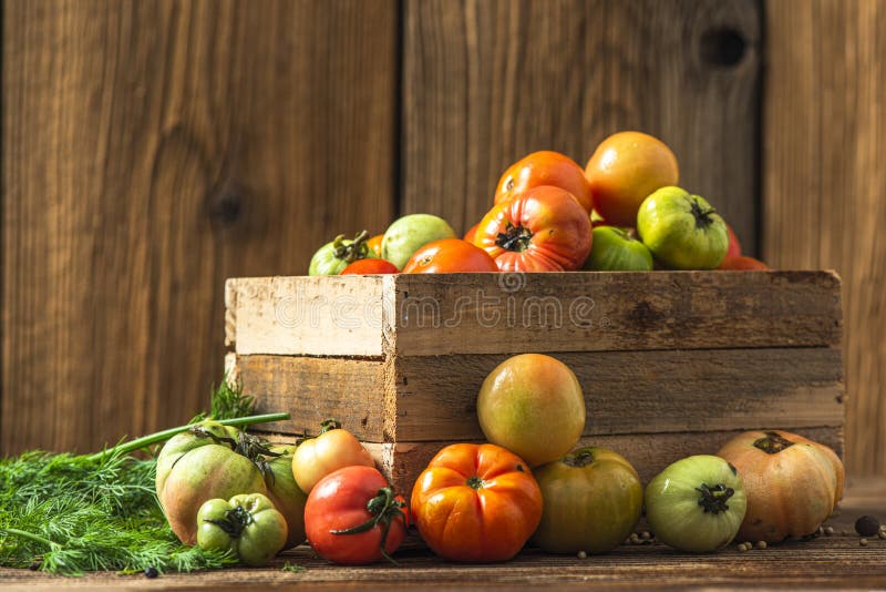 Frische reife Tomaten in Holzkiste