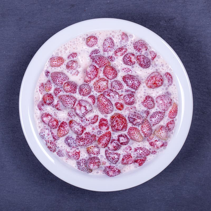 Frische, reife, Walderdbeeren mit Sauerrahm und Honig in der weißen Platte, wilde Beere Rote Erdbeeren Hintergrund, Draufsicht lizenzfreies stockfoto Frische, reife, Walderdbeeren mit Sauerrahm und Honig in der weißen Platte, wilde Beere Rote Erdbeeren Hintergrund, Draufsicht lizenzfreies stockfoto