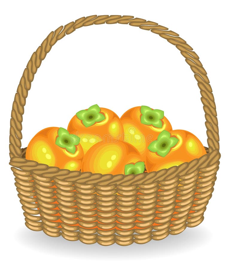 Frische saftige Persimone der großzügigen Ernte Die Frucht ist sehr geschmackvoll und Vitamin Eine vorz?gliche Festlichkeit f?r G lizenzfreie abbildung Frische saftige Persimone der großzügigen Ernte Die Frucht ist sehr geschmackvoll und Vitamin Eine vorz?gliche Festlichkeit f?r G lizenzfreie abbildung