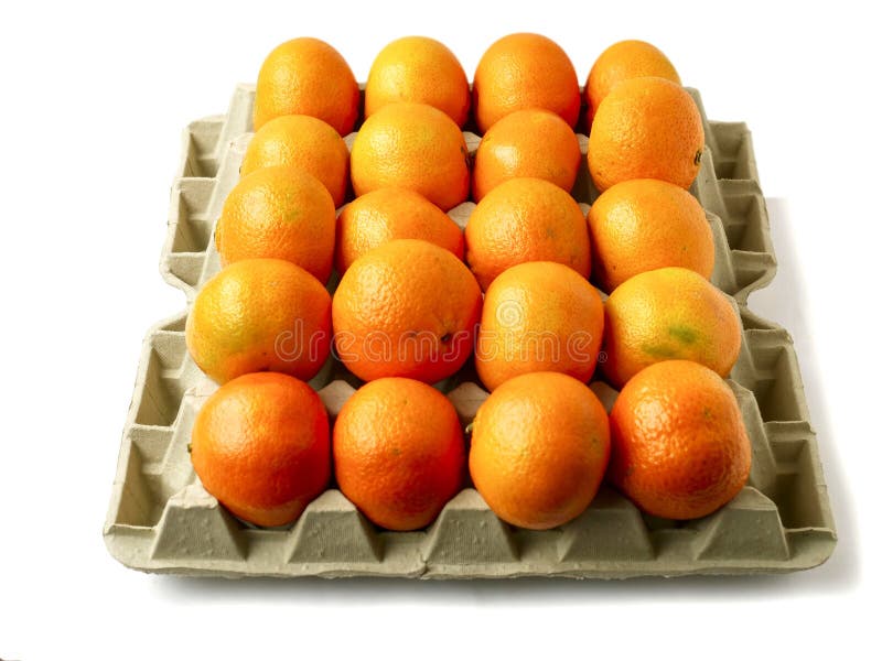 Frische Tangerine in einem Eizellhalter zum Verkauf. weißer Hintergrund. Lebensmittelversorgung stockfotos