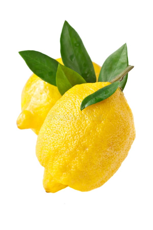 Frische Zitronen. stockbild. Bild von nahaufnahme, gesund - 24789959