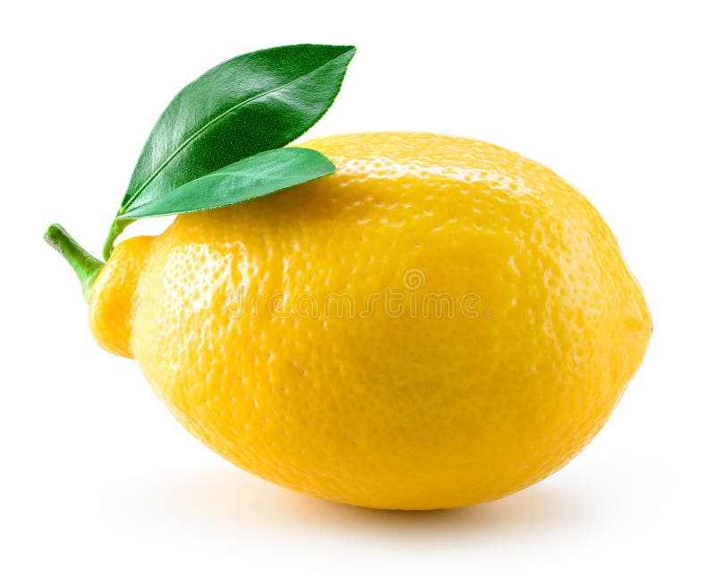 Frische Zitronenfrucht mit den Blättern lokalisiert auf Weiß lizenzfreies stockbild Frische Zitronenfrucht mit den Blättern lokalisiert auf Weiß lizenzfreies stockbild
