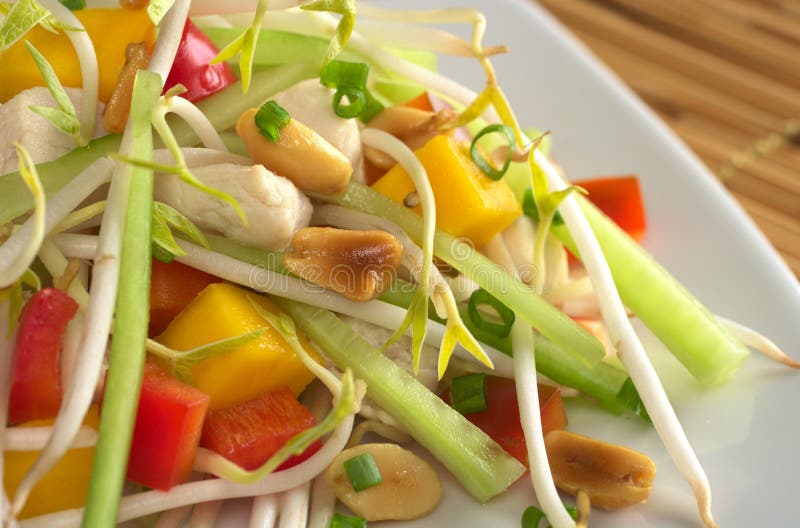 Frischer Asiatischer Salat Mit Huhn Stockbild - Bild von mittagessen ...