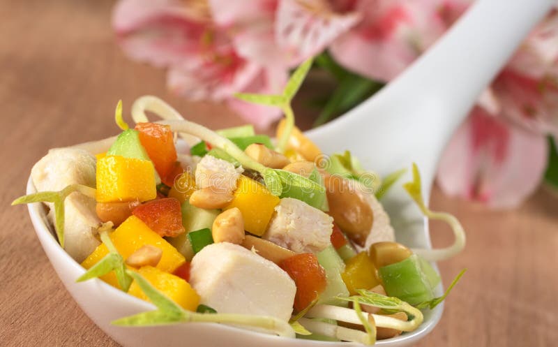 Frischer Asiatischer Salat Mit Huhn Stockfoto - Bild von fotographie ...