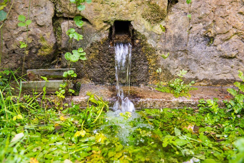 Frischer Brunnen des natürlichen Frühlinges lizenzfreie stockbilder Frischer Brunnen des natürlichen Frühlinges lizenzfreie stockbilder