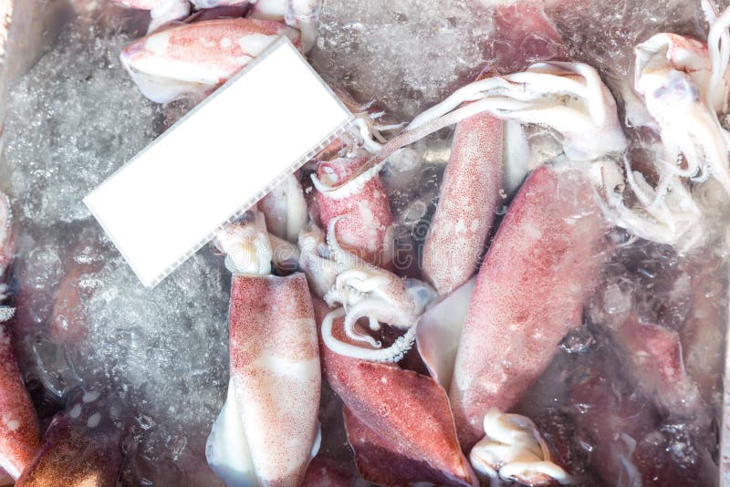 Frischer Kalmar auf dem Markt f? r Verkauf Wei? e rohe Kalmarmeeresfr? chte im Frischmarkt Rohe Kraken-Fische auf Eis f? r Verkauf En stockfotos