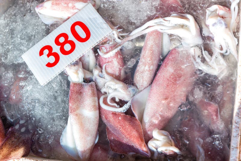 Frischer Kalmar auf dem Markt f? r Verkauf Wei? e rohe Kalmarmeeresfr? chte im Frischmarkt Rohe Kraken-Fische auf Eis f? r Verkauf En stockbilder