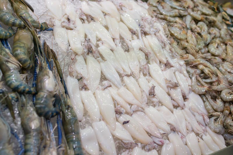 Frischer Kalmar auf dem Markt f? r Verkauf Weiße rohe Kalmarmeeresfrüchte lizenzfreie stockbilder