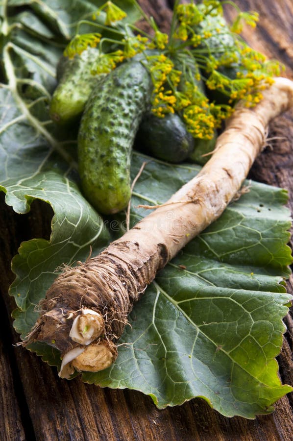 248 Frischer Meerrettich Fotos Kostenlose und RoyaltyFree Stock