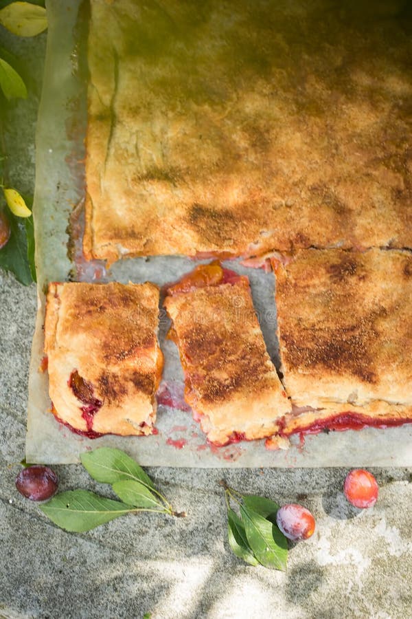 Frischer Pflaumenkuchen mit Zimt. frischer Pflaumenkuchen mit Zimtkuchen in der Obstgartensommer-Pflaumenjahreszeit