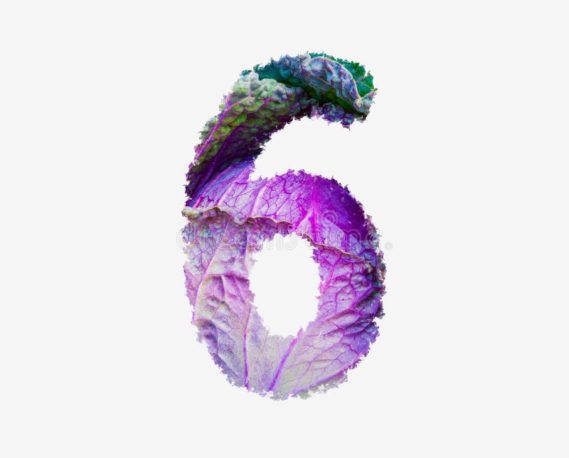Frisches rohes Kohlgemüse Nummer 6 gesundes Salatnahralphabet isoliertes Gestaltungselement stockbild