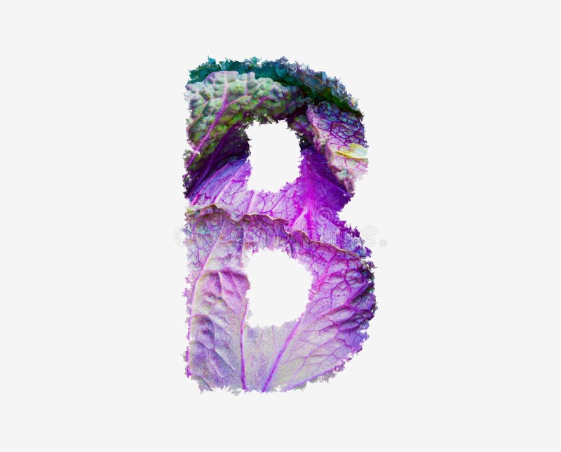 Frischer roher Kohl pflanzlichen Buchstaben b gesunder Salat Lebensmittel Alphabet isoliertes Design Element lizenzfreie stockbilder