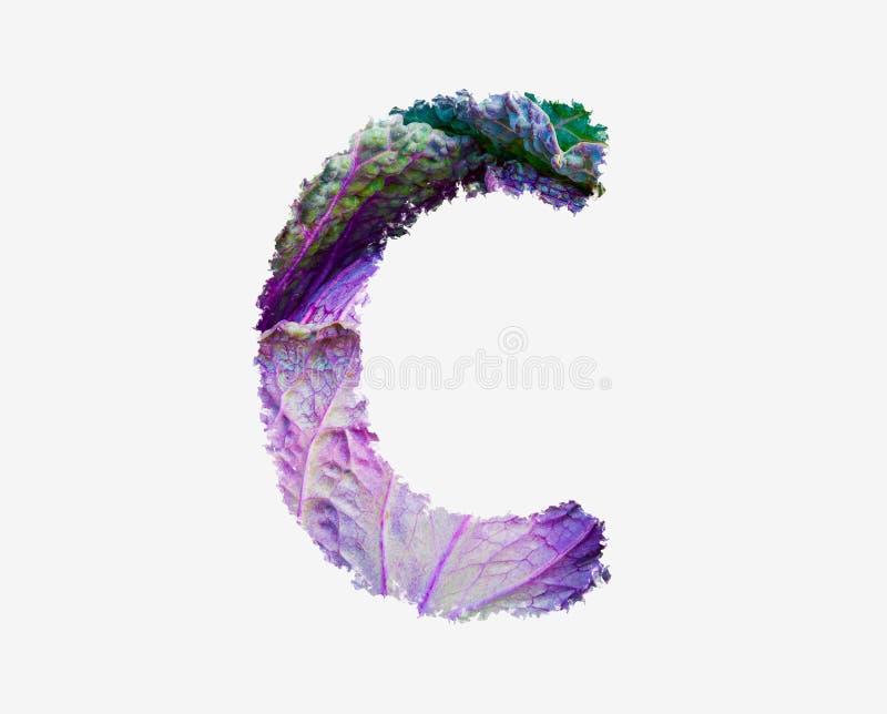 Frischer roher Kohl pflanzlichen Buchstaben c gesunder Salat Lebensmittel Alphabet isoliertes Design Element. Frischer roher Kohl Gemüsebuchstabe gesunder Salat Lebensmittel Alphabet isoliertes Design Element Großbuchstabe
