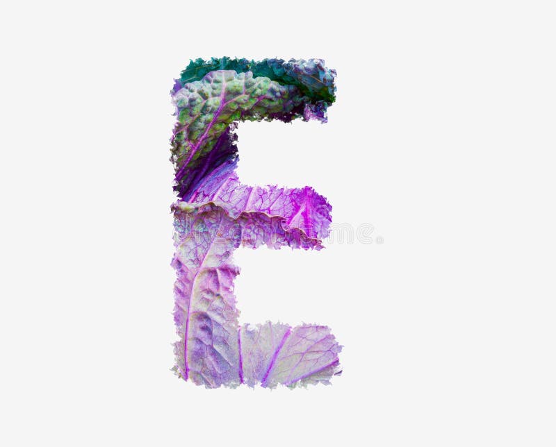 Frischer roher Kohl pflanzlichen Buchstaben e gesunder Salat Lebensmittel Alphabet isoliertes Design Element stockfotos