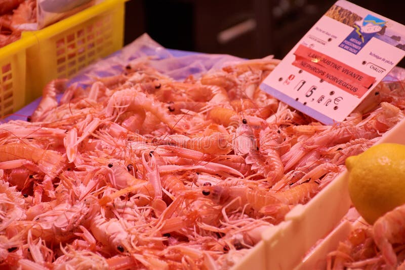 Frischer roher Langoustine auf einem Markt lizenzfreie stockbilder Frischer roher Langoustine auf einem Markt lizenzfreie stockbilder