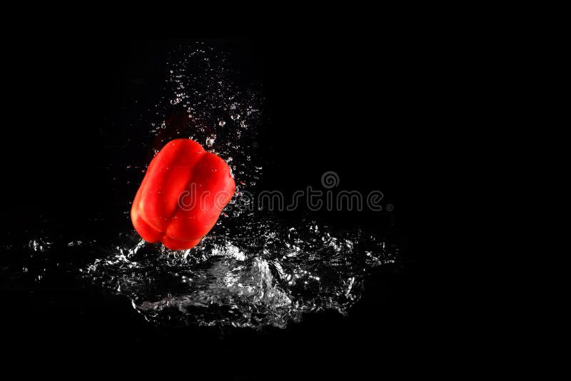 Frischer roter grüner Pfeffer mit Wasser-Spritzen und Blase lokalisiert Pfeffer-Kopien-Raum Saftige rote Paprika Dropped Falling stockbild Frischer roter grüner Pfeffer mit Wasser-Spritzen und Blase lokalisiert Pfeffer-Kopien-Raum Saftige rote Paprika Dropped Falling stockbild