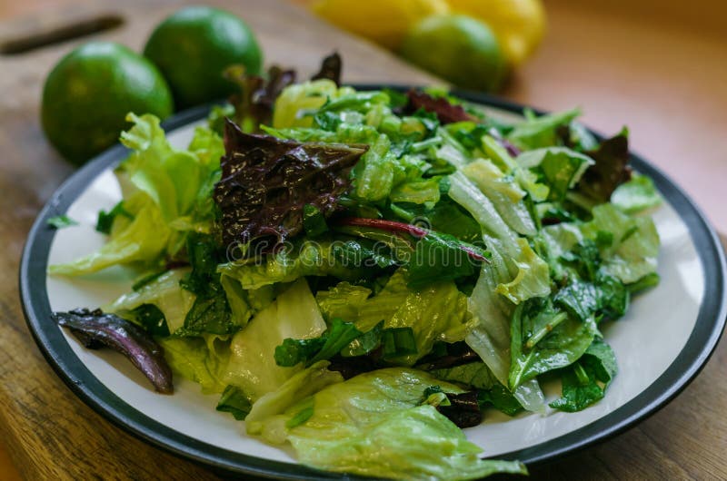 Frischer Salat aus verschiedenen Grünsorten, gewürzt mit Olivenöl und Zitronensaft lizenzfreie stockbilder Frischer Salat aus verschiedenen Grünsorten, gewürzt mit Olivenöl und Zitronensaft lizenzfreie stockbilder