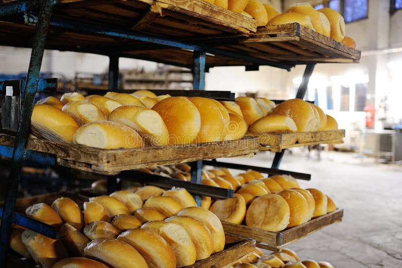 Frisches Brot auf einem Regal in einer Bäckerei stockbild Frisches Brot auf einem Regal in einer Bäckerei stockbild