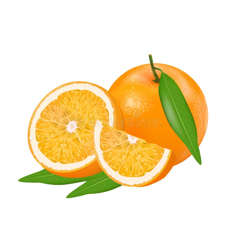 Frisches orange ganzes und Scheiben von den Orangen und von Blatt lokalisiert auf weißem Hintergrund stock abbildung Frisches orange ganzes und Scheiben von den Orangen und von Blatt lokalisiert auf weißem Hintergrund stock abbildung