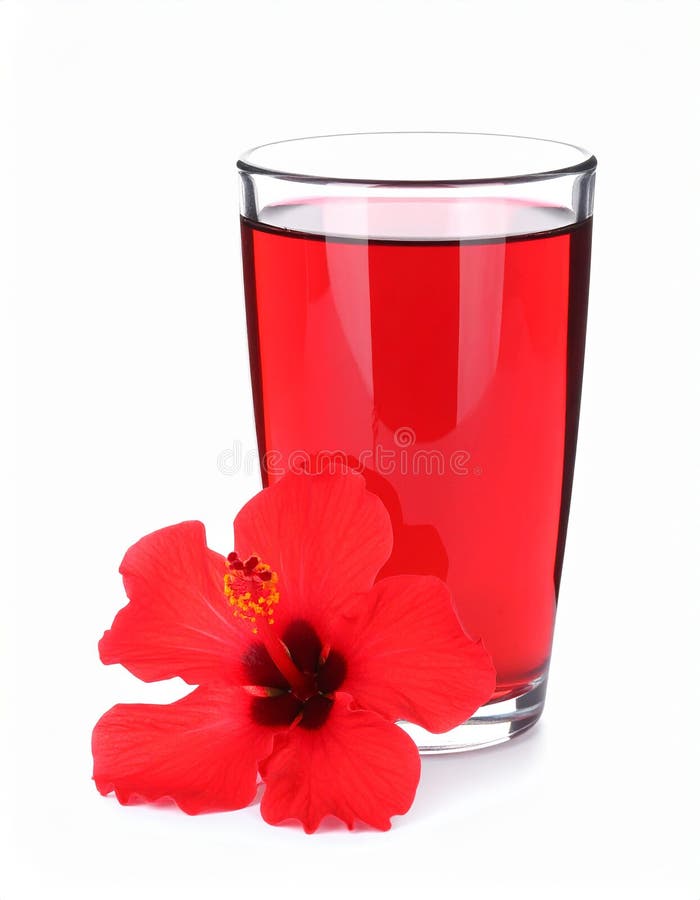 Frischgebrühter Hibiskustee und rote Blume, isoliert auf weiß lizenzfreie abbildung