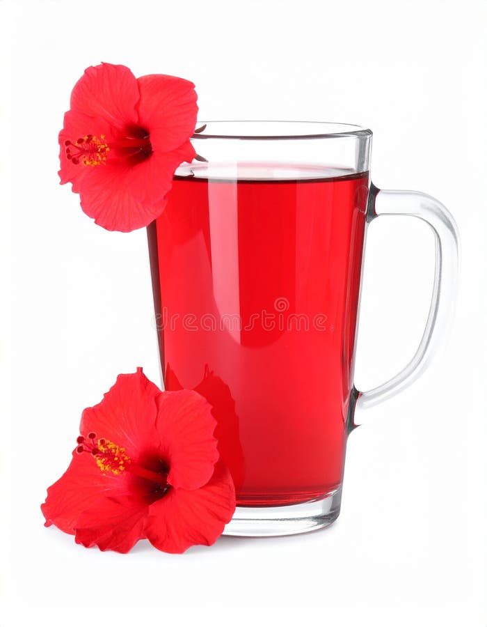 Frischgebrühter Hibiskustee und rote Blume, isoliert auf weiß vektor abbildung