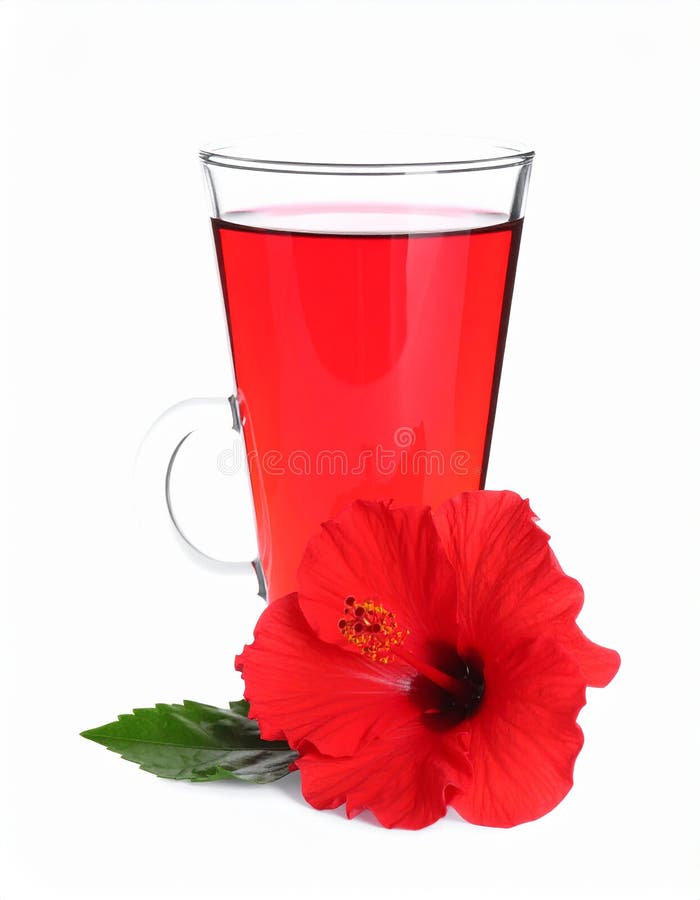 Frischgebrühter Hibiskustee und rote Blume, isoliert auf weiß vektor abbildung