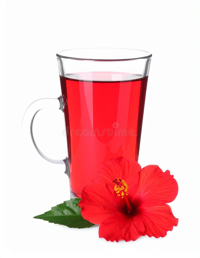Frischgebrühter Hibiskustee und rote Blume, isoliert auf weiß vektor abbildung