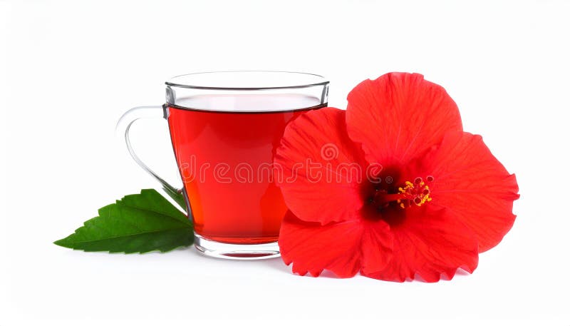 Frischgebrühter Hibiskustee und rote Blume, isoliert auf weiß stock abbildung