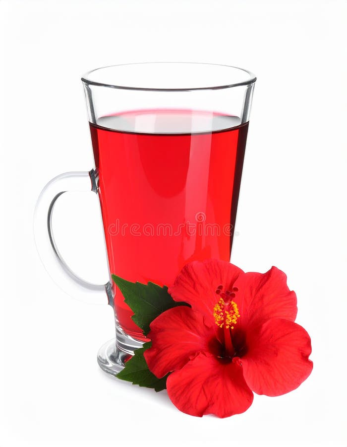 Frischgebrühter Hibiskustee und rote Blume, isoliert auf weiß stock abbildung