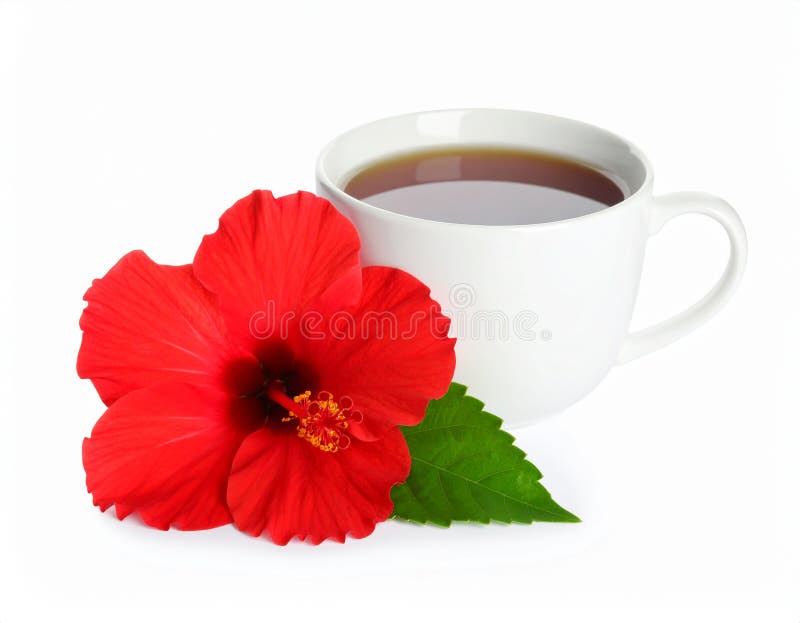 Frischgebrühter Hibiskustee und rote Blume, isoliert auf weiß stock abbildung