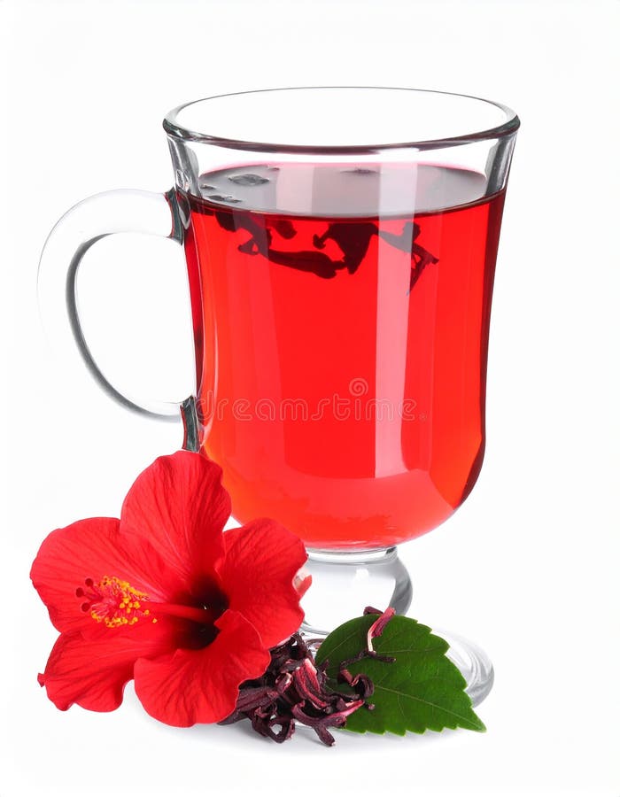 Frischgebrühter Hibiskustee und rote Blume, isoliert auf weiß lizenzfreie abbildung
