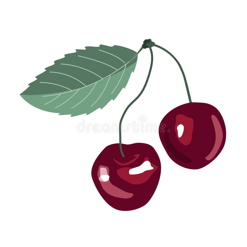 Frischkartoon Rotes Paar Kirschen. Symbol- oder Logo-Emblem auf weißem Hintergrund isoliert. Vektor-Darstellung für jede Konstrukt lizenzfreie abbildung